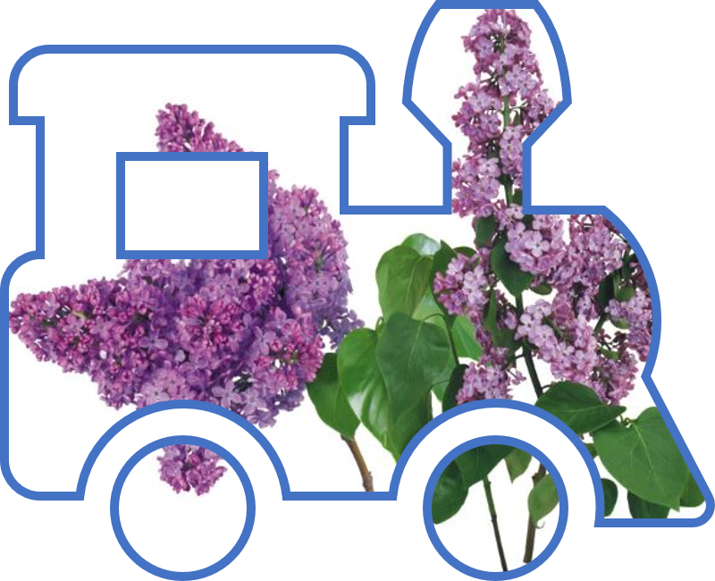 ライラック号でGo